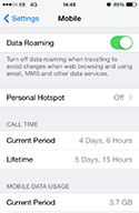 iPhone roaming settings